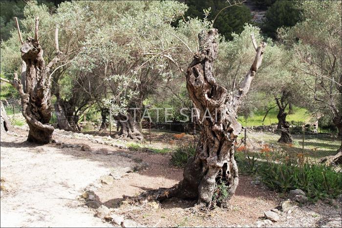 Таунхаус в Эскорке 320 м2 №TAU18327813B  - Продажа - 10 preview