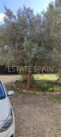 Вилла в Морайре 241 м2 №VL252450818  - Продажа - 16 preview