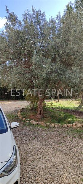 Вилла в Морайре 241 м2 №VL252450818  - Продажа - 16 large