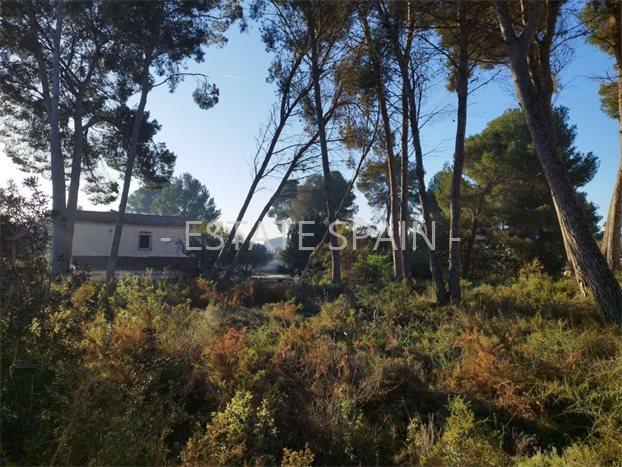 Вилла в Морайре 241 м2 №VL252450818  - Продажа - 2 preview