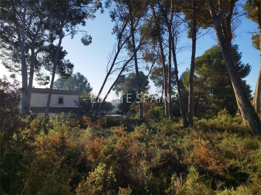 Вилла в Морайре 241 м2 №VL252450818  - Продажа - 2 large