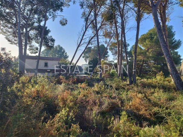 Вилла в Морайре 241 м2 №VL252450818  - Продажа - 3 preview