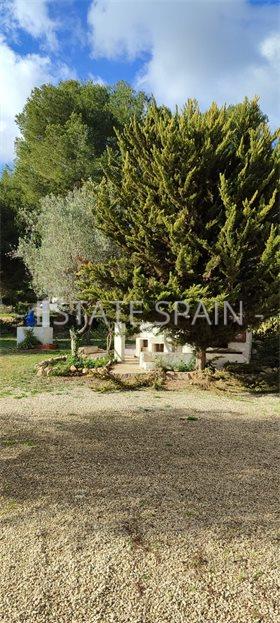 Вилла в Морайре 241 м2 №VL252450818  - Продажа - 17 large