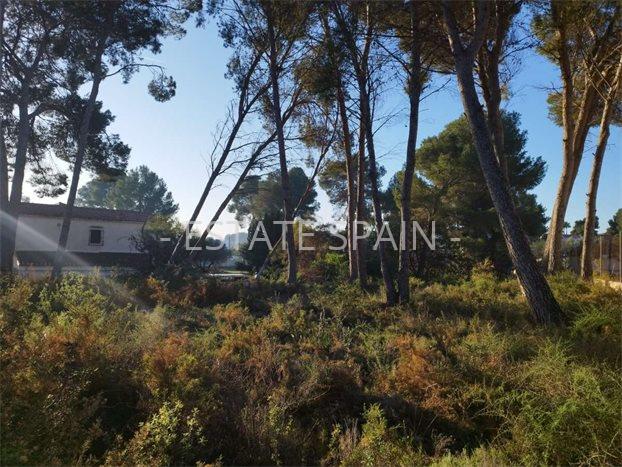 Вилла в Морайре 241 м2 №VL252450818  - Продажа - 5 preview