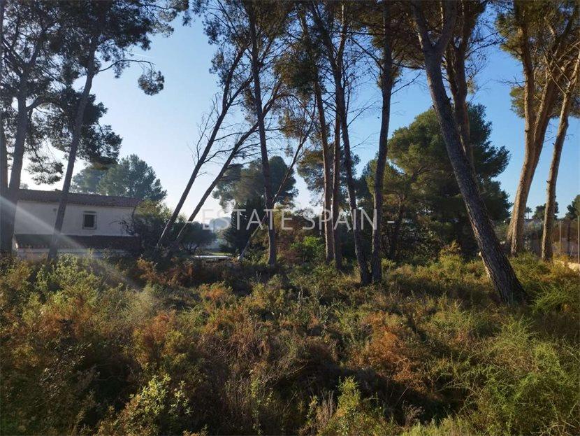 Вилла в Морайре 241 м2 №VL252450818  - Продажа - 5 large