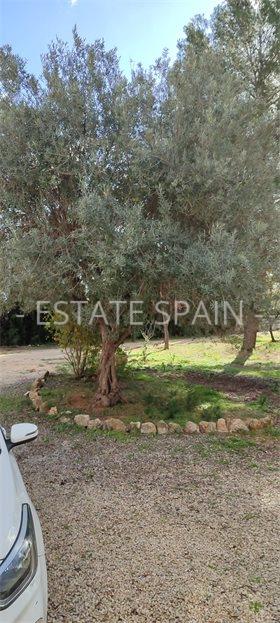 Вилла в Морайре 241 м2 №VL252450818  - Продажа - 10 large