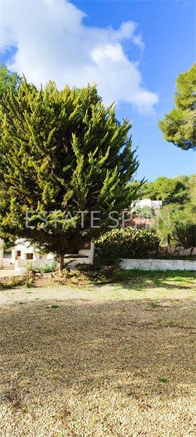 Вилла в Морайре 241 м2 №VL252450818  - Продажа - 12 large