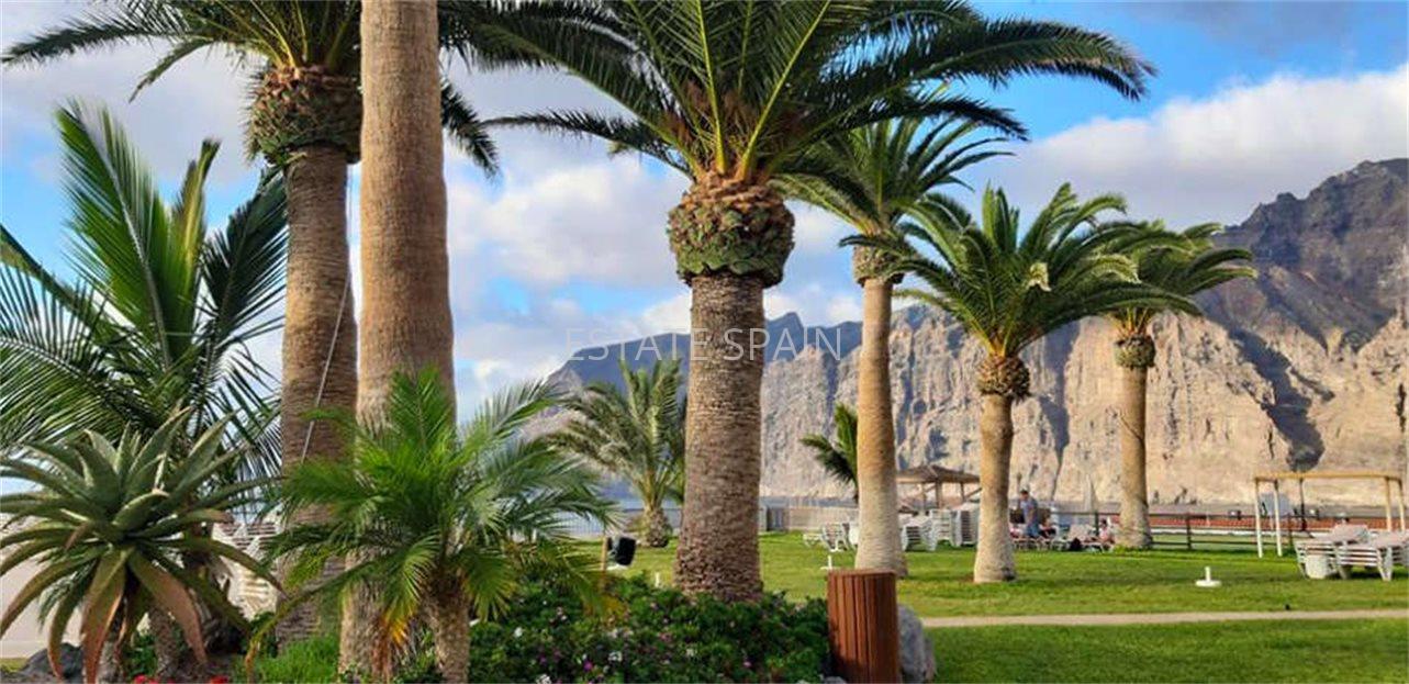 Апартаменты в Лос-Гигантес 55 м2 №ART222217C6C7  - Продажа - 12 large