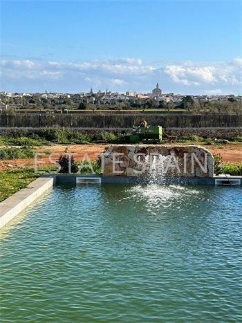 Вилла в Сантаньи 464 м2 №VL261239ED63  - Продажа - 29 preview