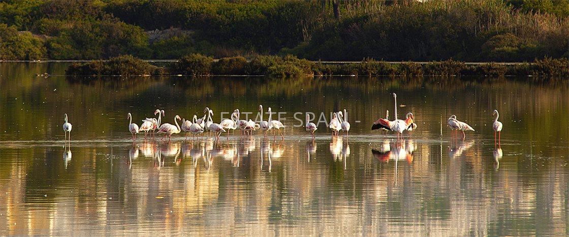 Апартаменты в Кальпе 97 м2 №ART21830B86E3  - Продажа - 17 preview