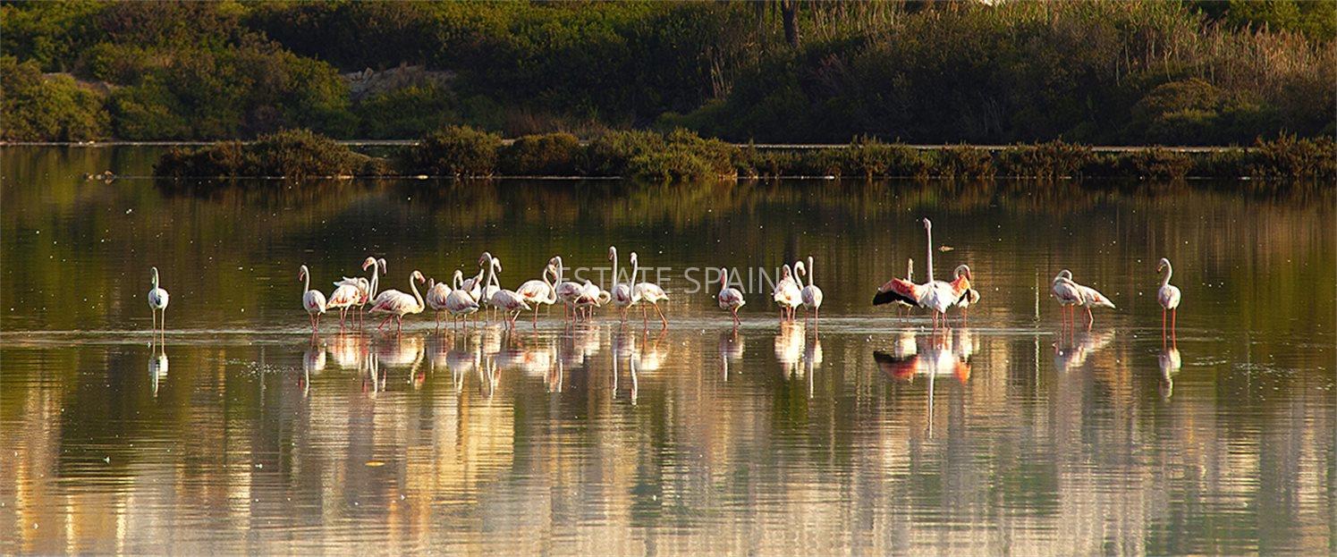 Апартаменты в Кальпе 97 м2 №ART21830B86E3  - Продажа - 17 large