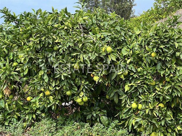 Вилла в Пуэрто-де-ла-Крус 231 м2 №VL241223F83AC  - Продажа - 9 preview