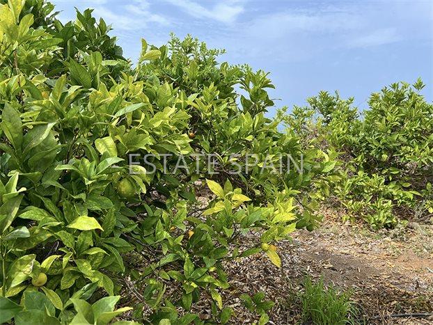 Вилла в Пуэрто-де-ла-Крус 231 м2 №VL241223F83AC  - Продажа - 10 preview