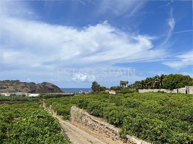 Вилла в Пуэрто-де-ла-Крус 231 м2 №VL241223F83AC  - Продажа - 4 preview