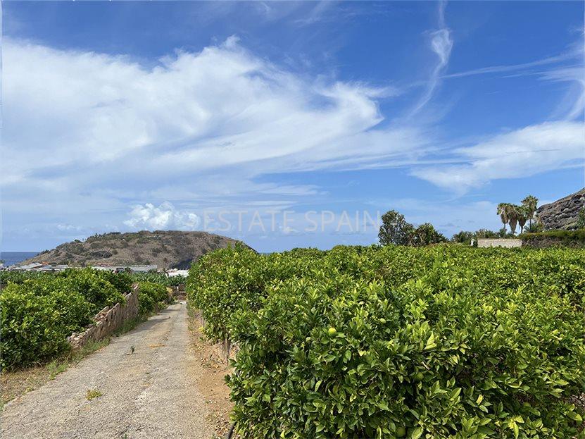 Вилла в Пуэрто-де-ла-Крус 231 м2 №VL241223F83AC  - Продажа - 5 large