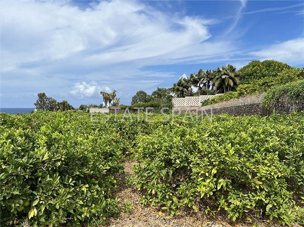 Вилла в Пуэрто-де-ла-Крус 231 м2 №VL241223F83AC  - Продажа - 7 preview