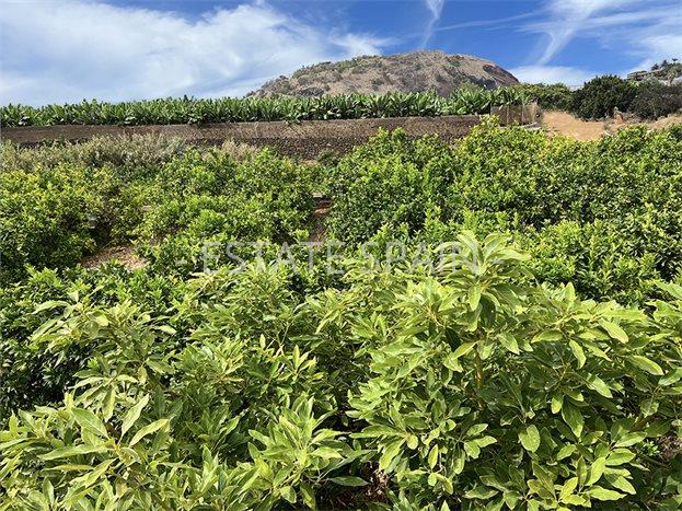 Вилла в Пуэрто-де-ла-Крус 231 м2 №VL241223F83AC  - Продажа - 14 preview