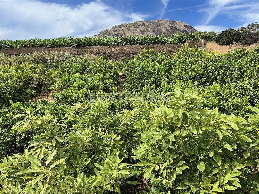 Вилла в Пуэрто-де-ла-Крус 231 м2 №VL241223F83AC  - Продажа - 14 large