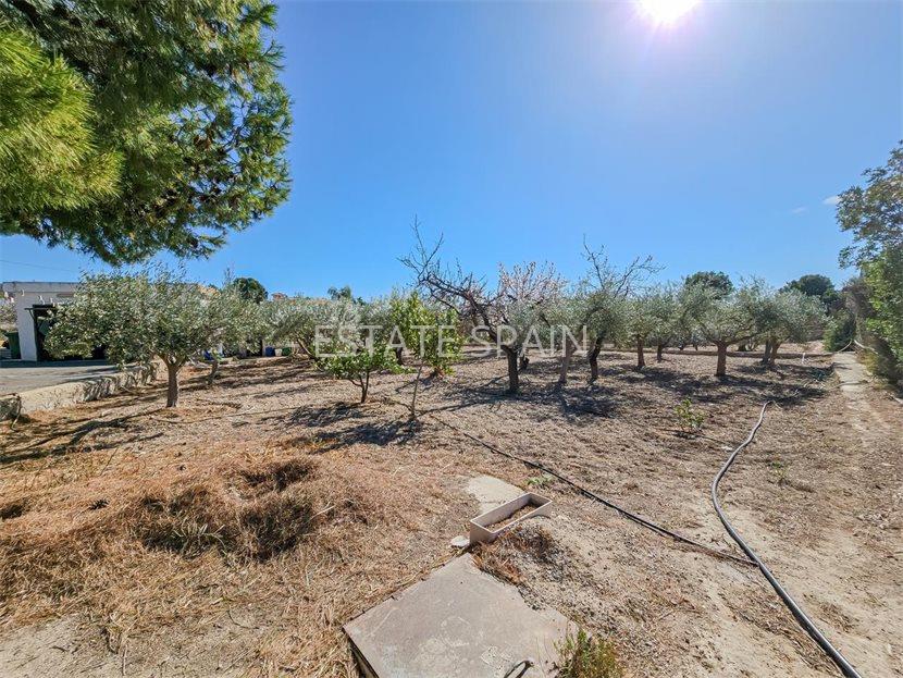 Сельский дом в Бусоте 221 м2 №VL2463BC473  - Продажа - 16 large