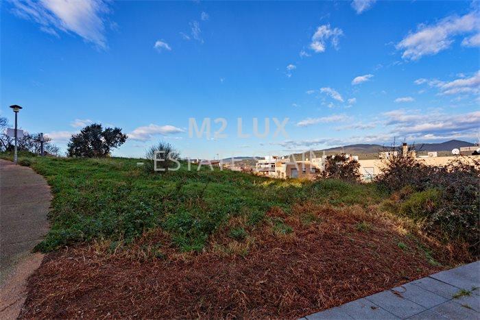 Участок в Паламосе 1061 м2 №PL2141641251  - Продажа - 5 preview