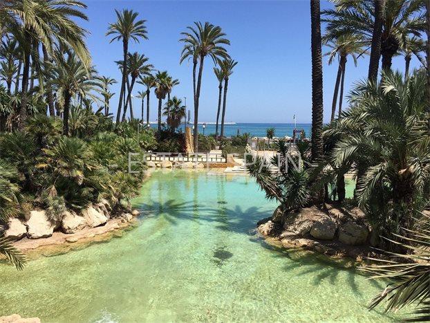 Апартаменты в Санта-Поле 146 м2 №ART2510103DF26  - Продажа - 4 preview