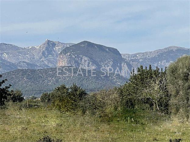 Усадьба в Санта-Мария-дель-Ками 490 м2 №VL23880A50E  - Продажа - 8 preview