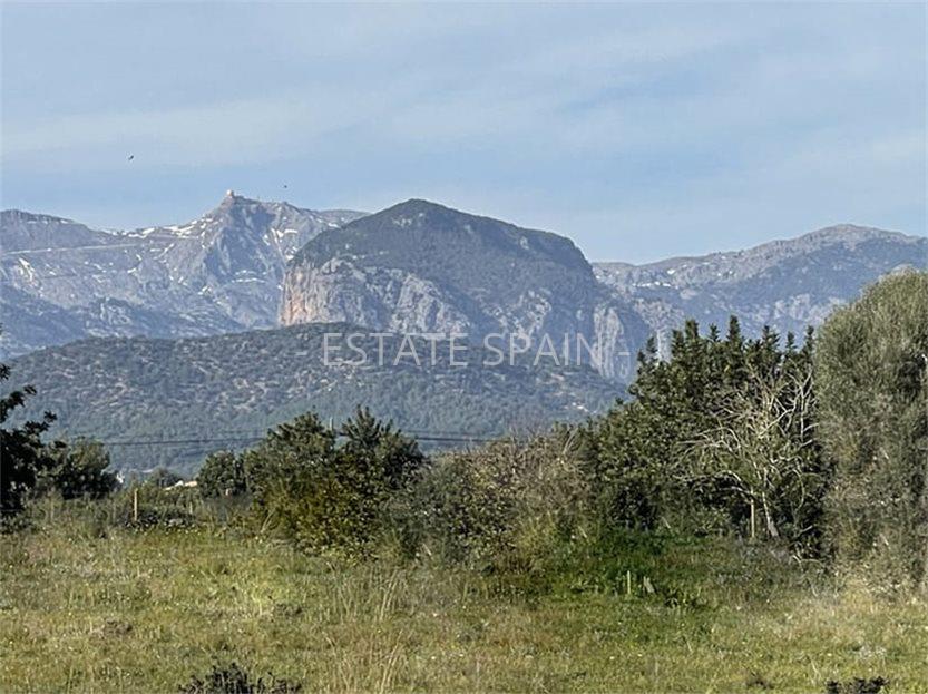 Усадьба в Санта-Мария-дель-Ками 490 м2 №VL23880A50E  - Продажа - 8 large