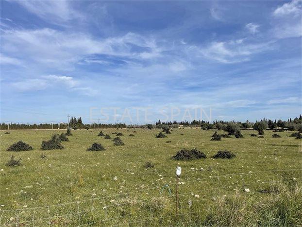 Усадьба в Санта-Мария-дель-Ками 490 м2 №VL23880A50E  - Продажа - 6 preview