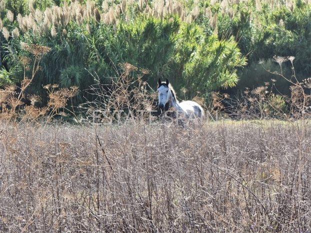 Сельский дом в Тарифе 400 м2 №VL2210643179  - Продажа - 6 preview