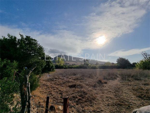 Сельский дом в Тарифе 400 м2 №VL2210643179  - Продажа - 7 preview