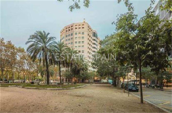 Помещение в Барселоне 242 м2 №COM19729C3549  - Продажа - 5 preview