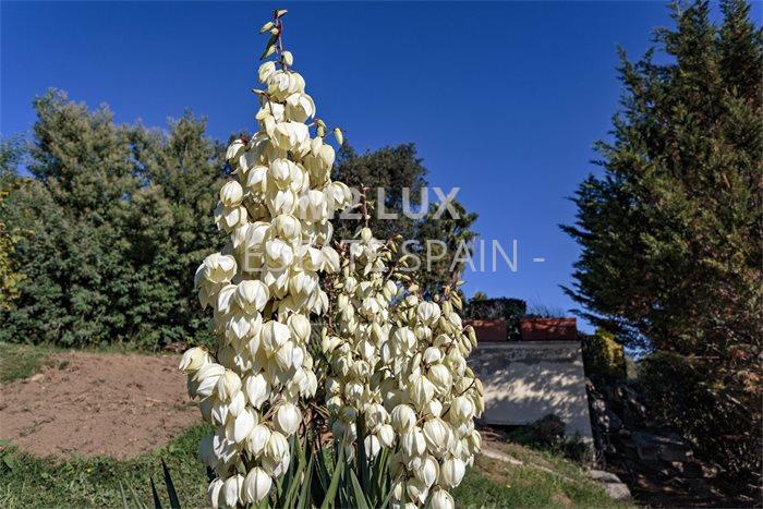 Вилла в Санта-Кристина-де-Аро 145 м2 №VL221172585A  - Продажа - 52 preview