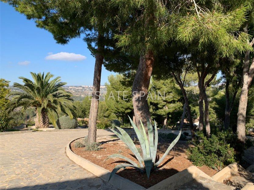 Вилла в Кальпе 1089 м2 №VL201166DDEF  - Продажа - 22 large