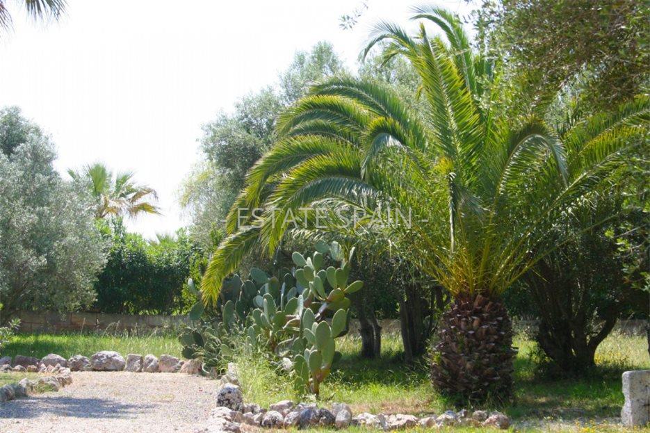 Вилла в Муро 545 м2 №VL191125C808C  - Продажа - 15 large