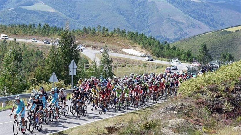 Апартаменты в Бенидорме 65 м2 №ART23943A2BE  - Продажа - 37 preview