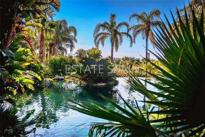 Апартаменты в Бенидорме 65 м2 №ART23943A2BE  - Продажа - 17 preview