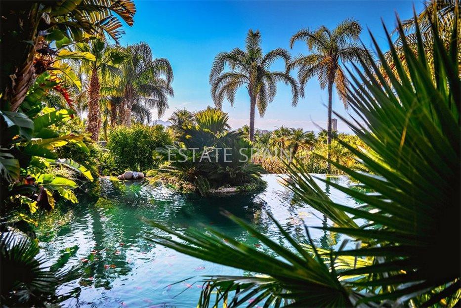 Апартаменты в Бенидорме 65 м2 №ART23943A2BE  - Продажа - 17 large