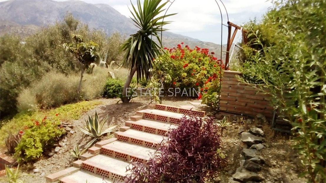 Вилла в Виньюэле 152 м2 №ART19625D5314  - Продажа - 6 large