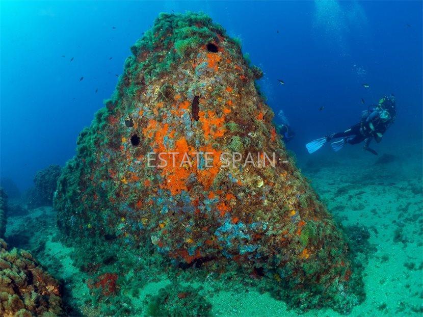 Апартаменты в Агиласе 81 м2 №ART25109980C0  - Продажа - 35 large