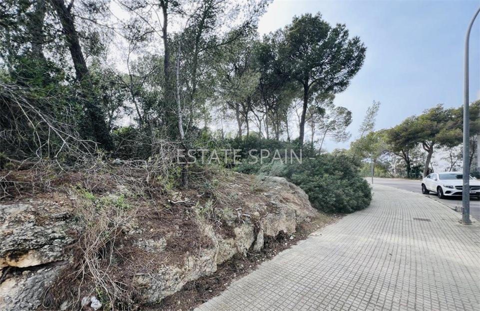 Участок в Кала-Виньяс 1730 м2 №PL2443A53D2  - Продажа - 4 large