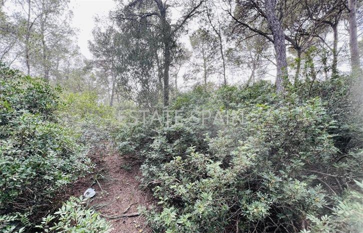 Участок в Кала-Виньяс 1730 м2 №PL2443A53D2  - Продажа - 3 preview