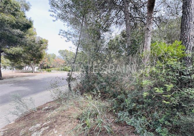 Участок в Кала-Виньяс 1730 м2 №PL2443A53D2  - Продажа - 5 preview