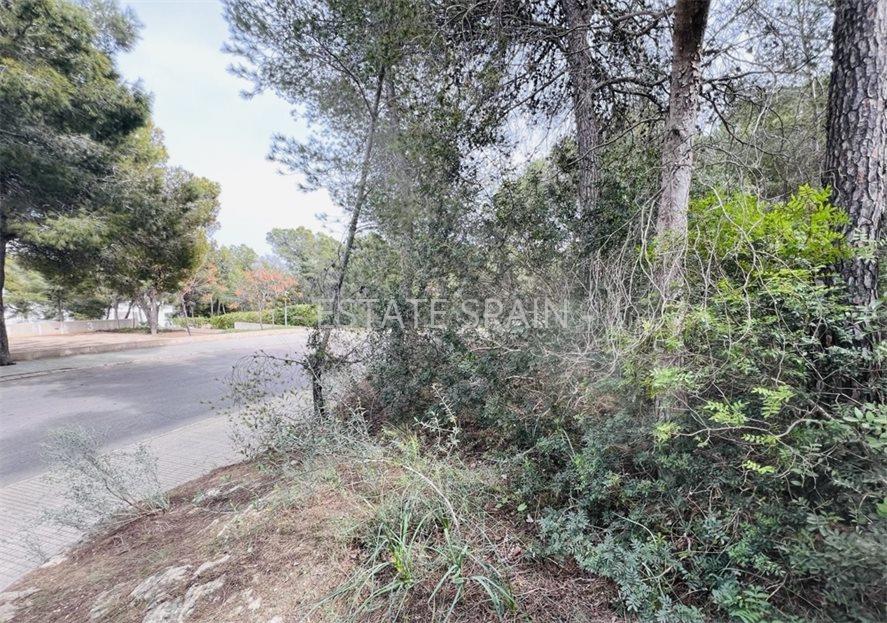 Участок в Кала-Виньяс 1730 м2 №PL2443A53D2  - Продажа - 5 large