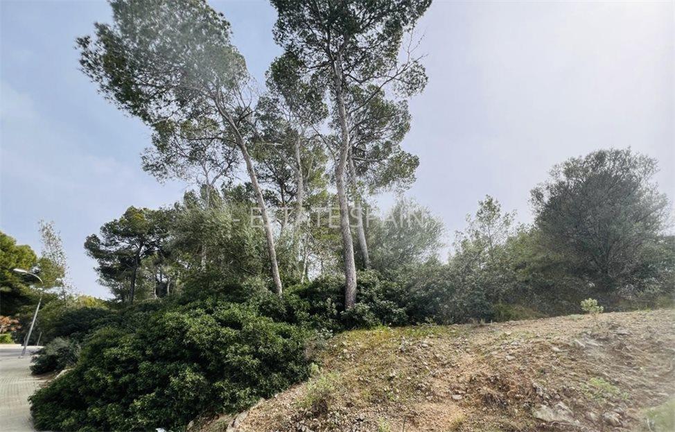 Участок в Кала-Виньяс 1730 м2 №PL2443A53D2  - Продажа - 1 large