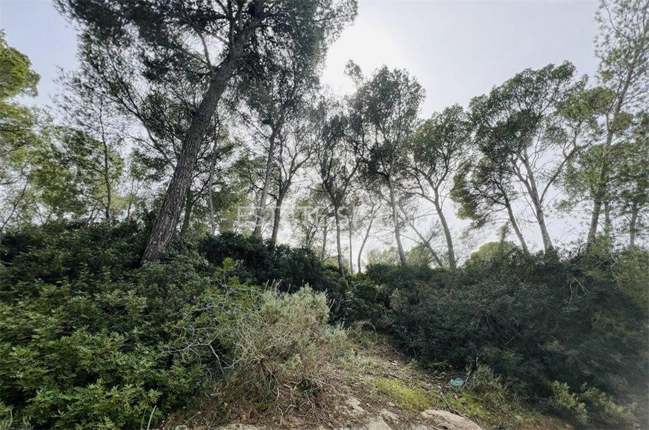 Участок в Кала-Виньяс 1730 м2 №PL2443A53D2  - Продажа - 2 large