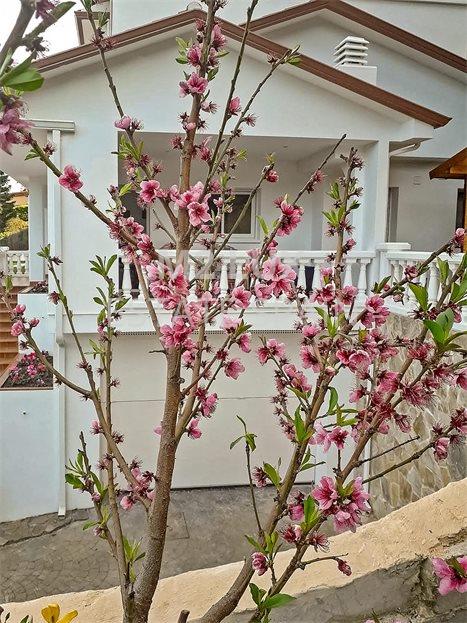 Вилла в Кабрильсе 261 м2 №VL19430154A9  - Продажа - 3 large