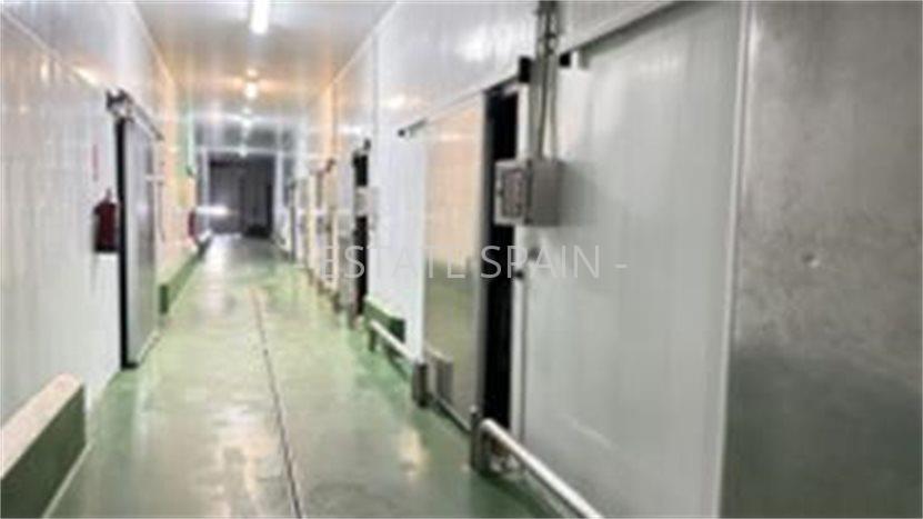 Готовый бизнес в Касабермехе 1253 м2 №COM25220F2276  - Продажа - 5 preview