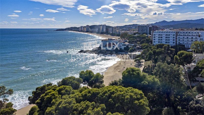 Участок в Плайя-де-Аро 1705 м2 №VL2310233356C  - Продажа - 26 preview