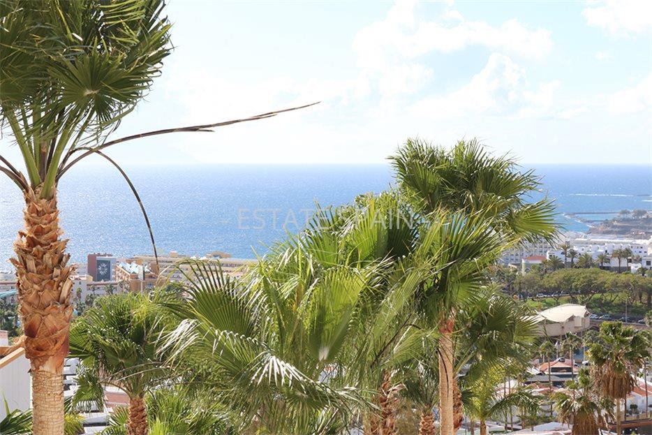 Дом в Коста-Адехе 240 м2 №VL1987B0AD8  - Продажа - 6 large