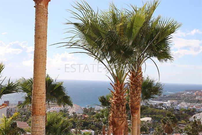 Дом в Коста-Адехе 240 м2 №VL1987B0AD8  - Продажа - 5 preview